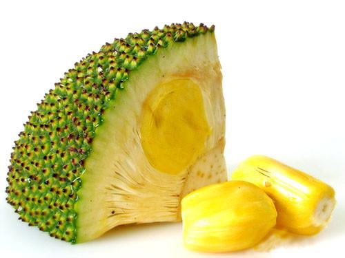 菠萝蜜.jpg 菠萝蜜.jpg