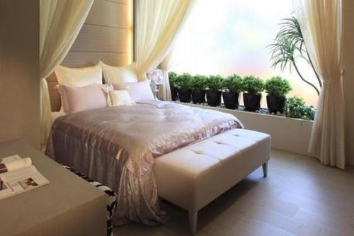 植物2.jpg 植物2.jpg